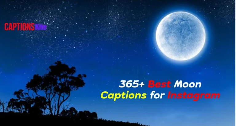 Best Moon Captions for Instagram